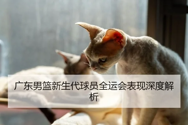 广东男篮新生代球员全运会表现深度解析